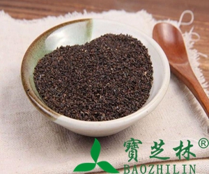 中药车前子性味归经 中药车前子功效作用及应用