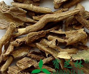 中药地骨皮图片 地骨皮的功效与作用