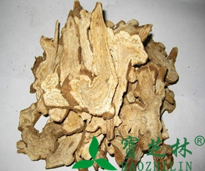 白术的功效与作用详解