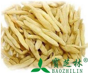 麦冬的主要功效与作用