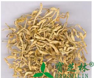 金银花泡水喝的功效和作用