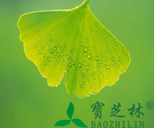 银杏叶片的功效与作用
