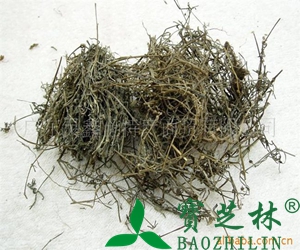 白花蛇草的功效