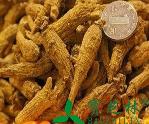 西洋参的作用与功效 西洋参泡水喝的害处