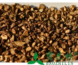 防风功效与作用 防风副作用 防风种植