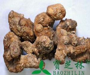 黄精的功效和作用