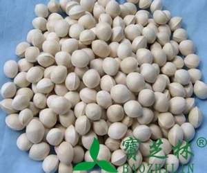 中药白果的作用