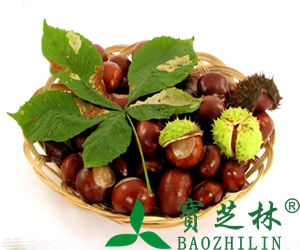板栗的功效和作用