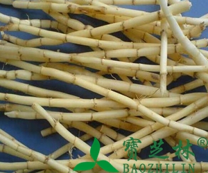 茅根是什么 茅根的功效与作用
