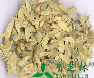 番泻叶的副作用
