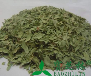 罗布麻叶的功效和作用