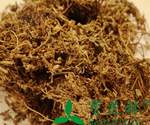 鹅不食草的功效