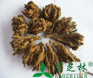 黄连素的副作用
