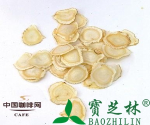 西洋参的功效