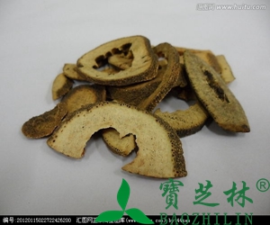 枳壳的功效与作用