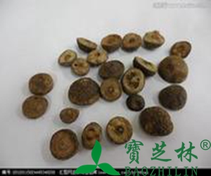 枳实的功效和作用