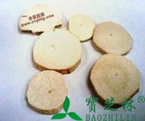 天花粉的作用