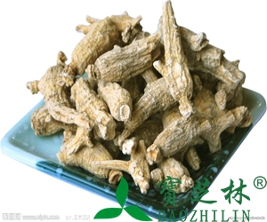 西洋参的功效和作用