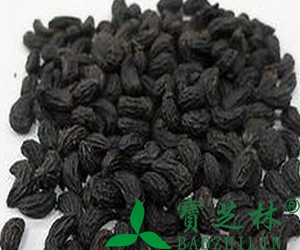 女贞子的副作用 吃女贞子的禁忌