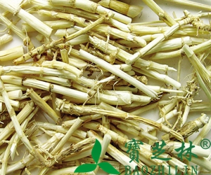 芦根的功效和作用
