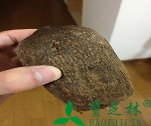 山药的药用价值