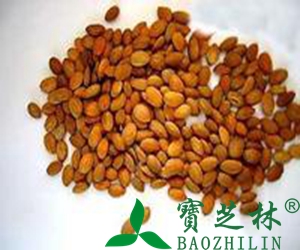 桃仁的功效和桃仁的营养价值