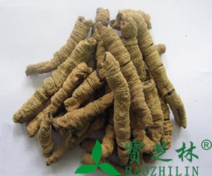 巴戟天的副作用 巴戟天的吃法