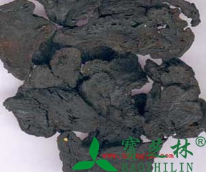 玄参的功效