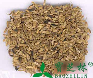 小茴香的副作用