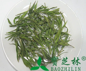 淡竹叶的副作用