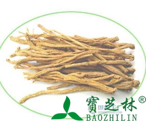 党参的功效和副作用