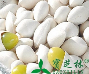 银杏的药用价值 银杏能治什么病