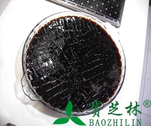 胖大海的功效和作用
