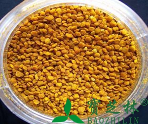 蜂花粉的功效和作用,副作用