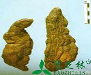 何首乌的作用和副作用