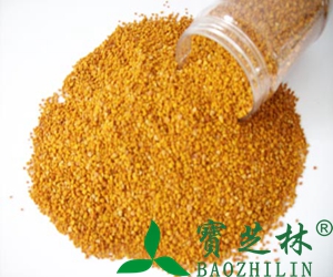 蜂花粉的功效与作用