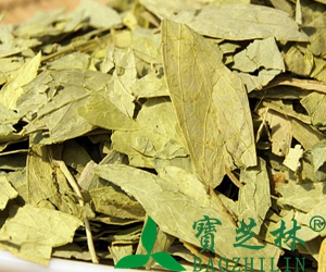 番泻叶的功效与食用方法