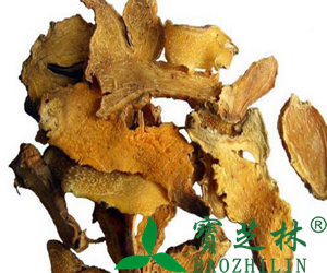 中药射干的功效与作用