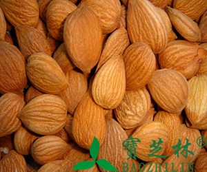 苦杏仁怎么吃正确 杏仁怎么吃才安全