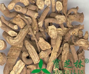 木香的功效与作用 木香有哪些好处