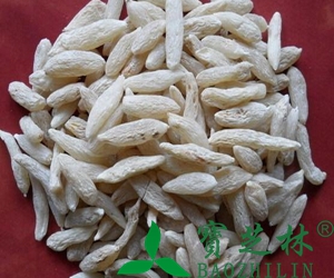麦冬泡水喝的功效和禁忌