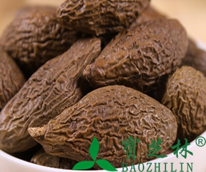 胖大海能吃吗 胖大海的食用禁忌