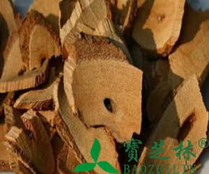 藤梨根的功效与作用