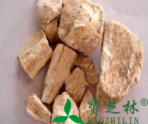 中药龙骨是什么 中药龙骨的功效与作用
