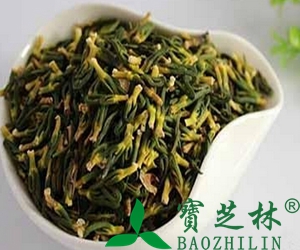 莲子心泡水喝的功效与禁忌