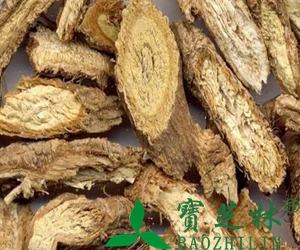 中药防风的功效与作用