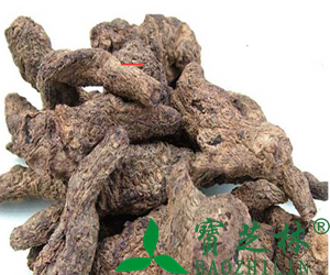 生地的食用方法与食用禁忌