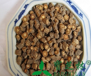 中药防风有什么功效 中药防风的功效与作用