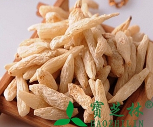 麦冬泡水喝的功效与禁忌