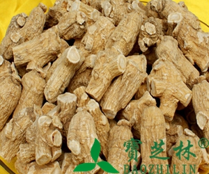 花旗参泡水喝的功效与作用